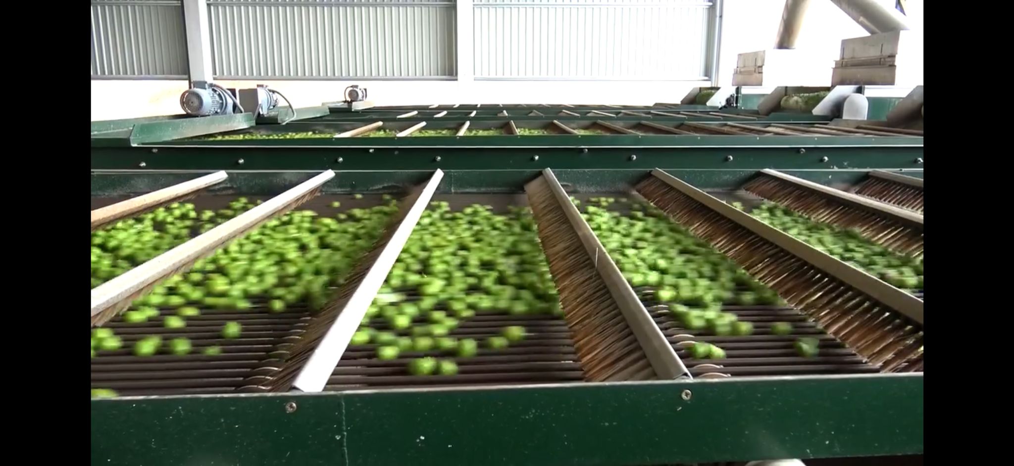 Agroindustria — transformación y elaboración